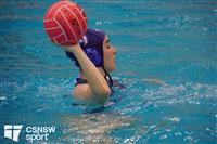 CSS06629-watermarked