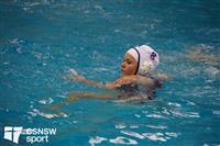 CSS06630-watermarked