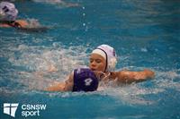 CSS06645-watermarked