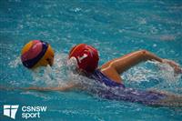 CSS06677-watermarked