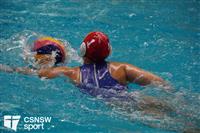 CSS06679-watermarked