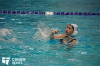 CSS06874-watermarked