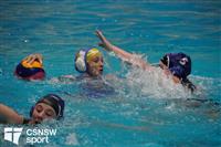 CSS06945-watermarked