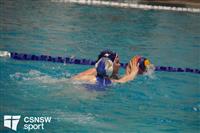 CSS06892-watermarked