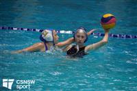 CSS06893-watermarked