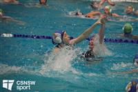 CSS06899-watermarked