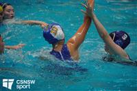 CSS06920-watermarked