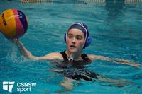 CSS06935-watermarked