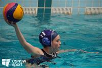 CSS06939-watermarked