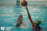CSS07072-watermarked