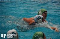 CSS07080-watermarked