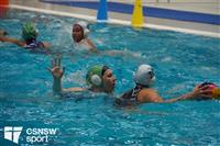 CSS06989-watermarked
