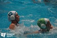 CSS07083-watermarked