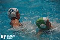 CSS07084-watermarked